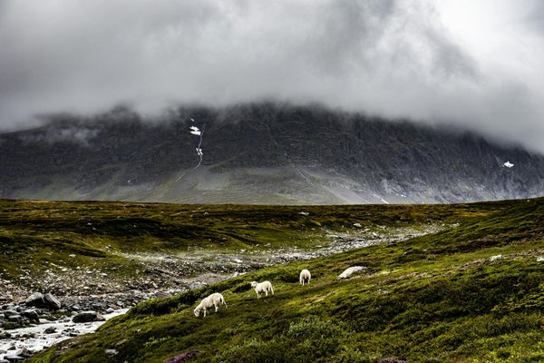 Quelles sont les meilleures pratiques pour photographier vos voyages comme un pro ?